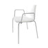 Catifa 46 0251 Armchair Bicolored Frame Chrome